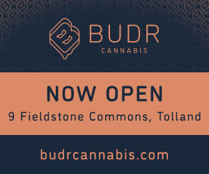 BUDR