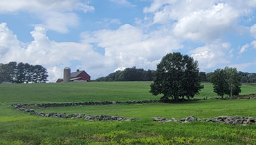 Bolton